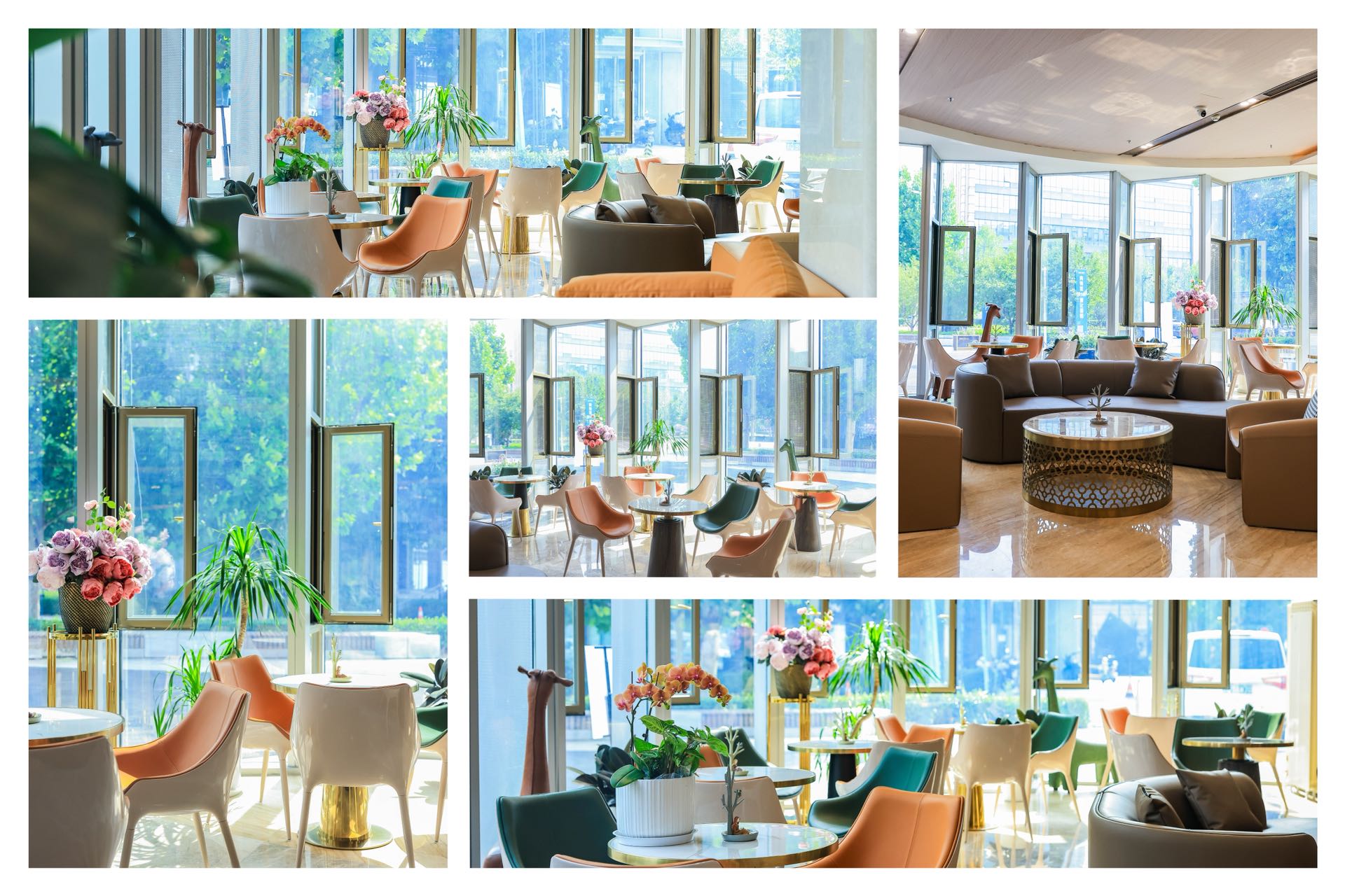 现代妇产医院外景，白色建筑配蓝色玻璃幕墙，阳光明媚，绿植环绕，体现专业医疗环境